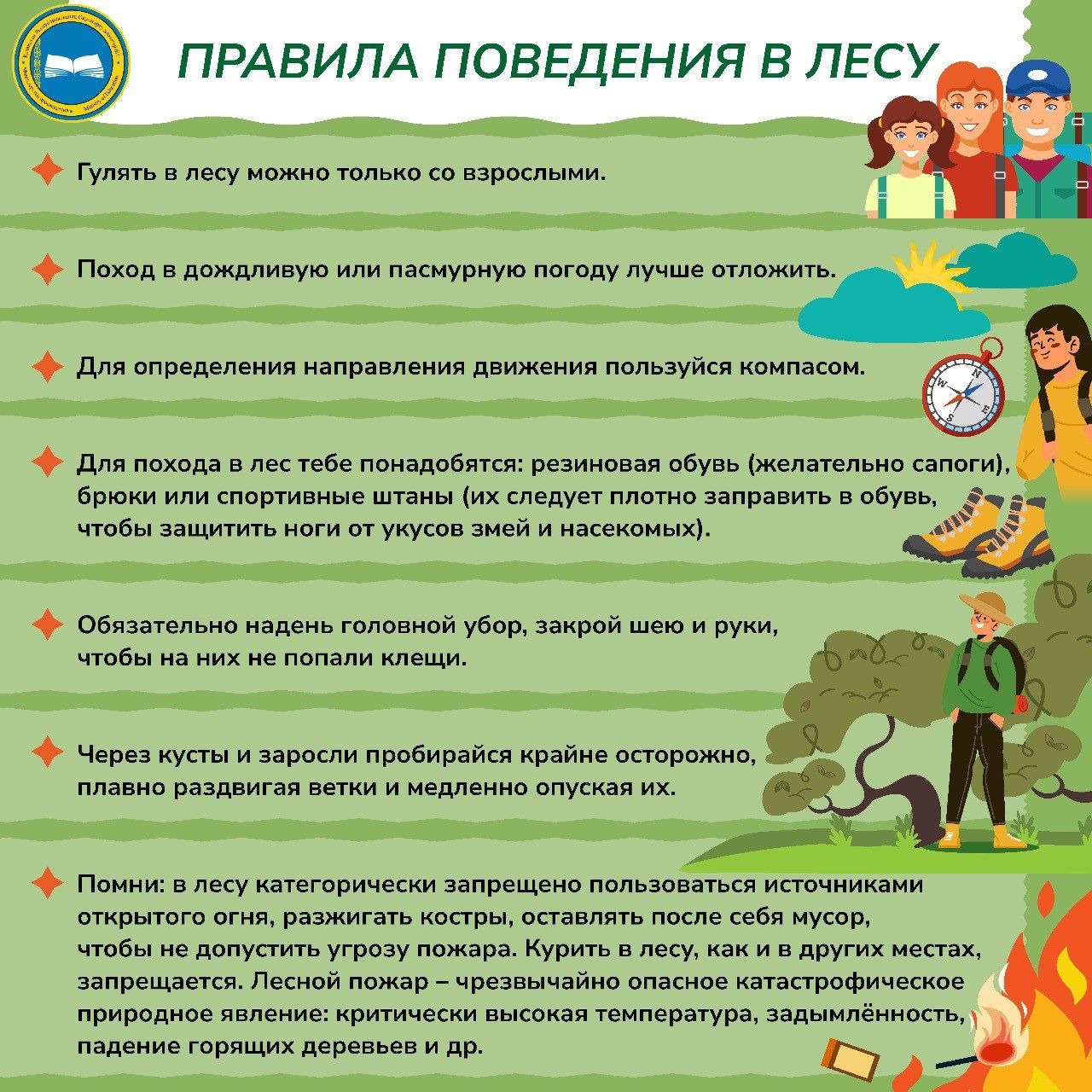 Правила безопасного поведения в лесу.